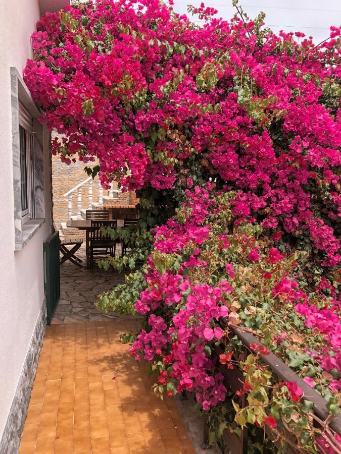 Lagun Bed & Breakfast Santo Isidoro Exterior foto